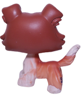 #1542 Collie